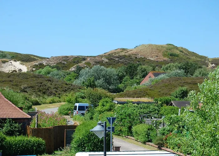 Niiloen Linjens